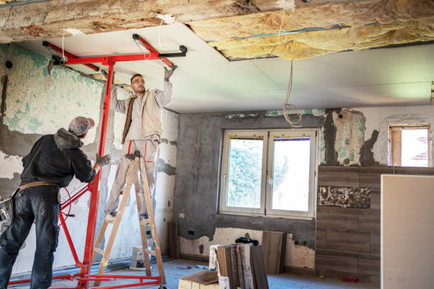 Best Insulation Contractors for Homes  in Raeford, NC
