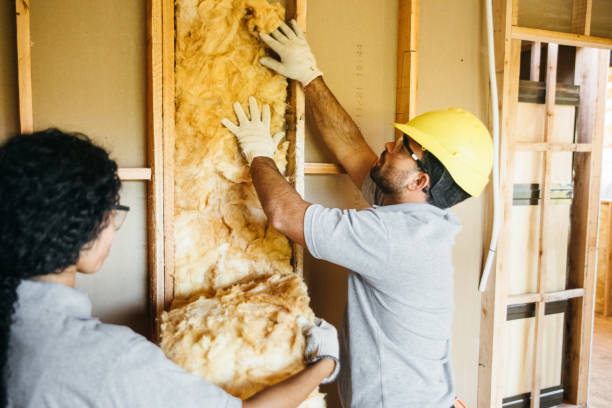 Best Insulation Contractors for Homes  in Raeford, NC