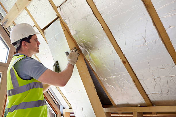 Best Insulation Replacement Services  in Raeford, NC