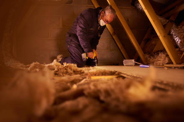 Best Cellulose Insulation  in Raeford, NC